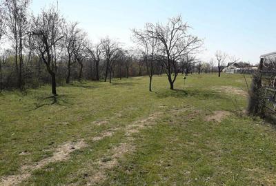 Teren de 1559 mp, în Cocoșești - 5