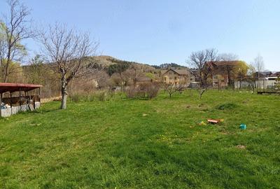 Casă cu Teren 3103 Mp în Central