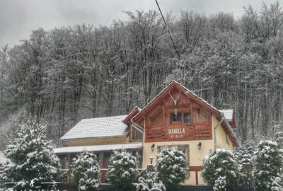 Casă cu 4 camere cu Teren 6000 Mp în Vața de Jos - 7