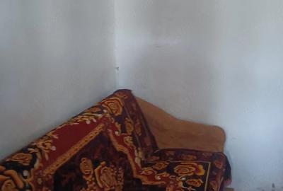 Casă cu 3 camere cu Teren 4660 Mp în Central