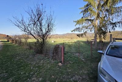 Teren de 8905 mp, în Seliște - 4