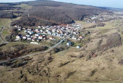 Teren agricol extravilan de 68403 mp, în Popești - 6