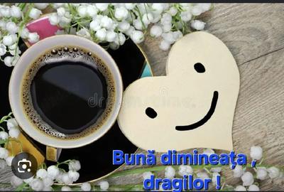 Apartament cu 3 camere decomandat în Central - 4