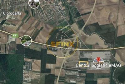 Teren Construcții intravilan de 40000 mp, în Joița - 5