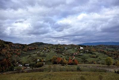 Teren de 2500 mp, în Sohodol - 1