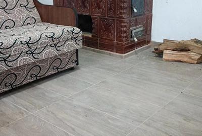 Casă cu 2 camere cu Teren 5000 Mp în Drăgășani