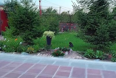 Casă cu 3 camere în Mihai Viteazu - 5