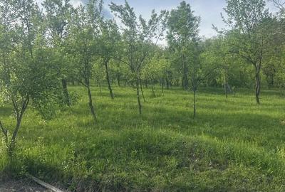 Spațiu comercial, în Ocnița - 3
