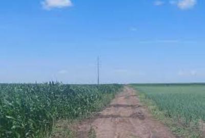Teren extravilan de 36000 mp, în Coțofenii din Față