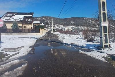 Teren de 6345 mp, în Aninoasa - 4