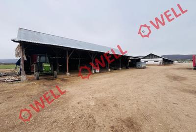 Teren agricol intravilan de 22 mp, în Zoltan - 12