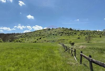 Teren de 659000 mp, în Copșa Mică - 12