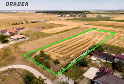 Teren intravilan de 3000 mp, în Nojorid - 1