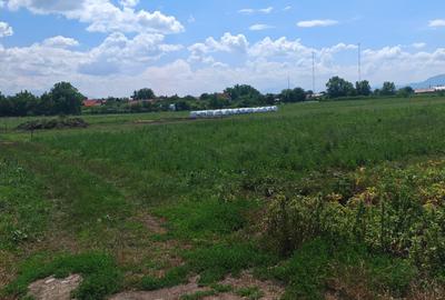 Teren Construcții intravilan de 5000 mp, în Bod - 1