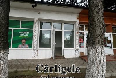 Spațiu comercial, de 110 mp, în Broșteni - 3