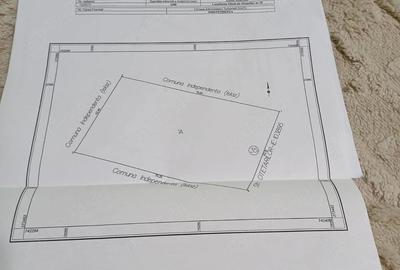 Teren de 3200 mp, în Olteni
