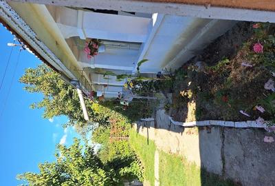 Casă cu Teren 4000 Mp în Biliești