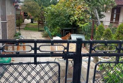 Casă cu 2 camere cu Teren 45 Mp în Central - 10