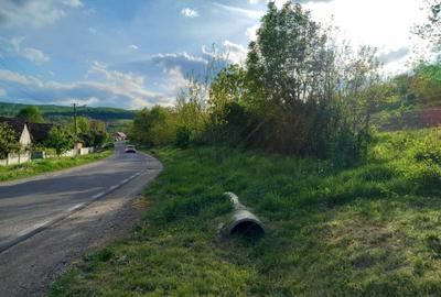 Spațiu comercial, în Papiu Ilarian - 3