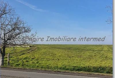 Teren de 25000 mp, în Agigea