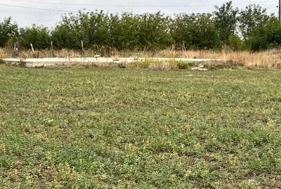 Teren de 3000 mp, în Checea - 7