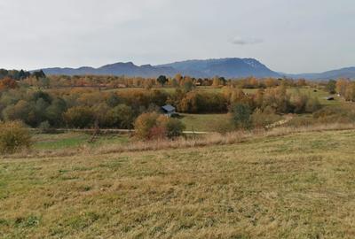 Teren agricol extravilan de 13000 mp, în Sohodol - 7