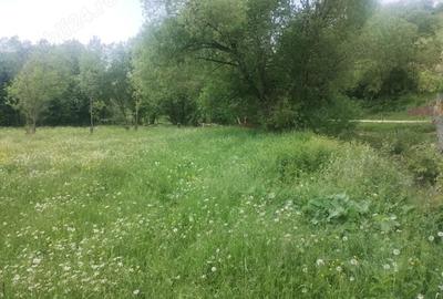 Teren de 5800 mp, în Scrădoasa - 4
