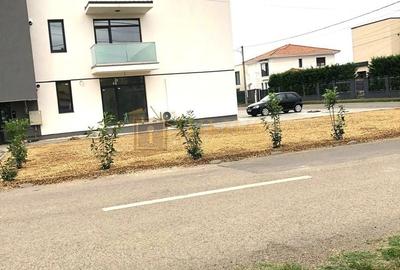 Garsonieră semidecomandată, mobilată în Dumbrăvița - 7