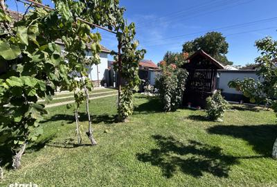 Casă cu 6 camere cu Teren 922 Mp în Zădăreni