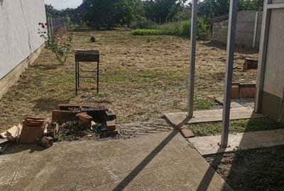 Casă cu 2 camere cu Teren 600 Mp în Peciu Nou - 8