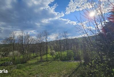Teren de 1800 mp, în Brebu