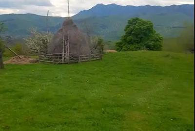 Teren de 26000 mp, în Rădăcinești
