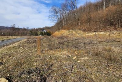 Teren agricol intravilan de 3200 mp, în Cheile Râșnoavei - 3