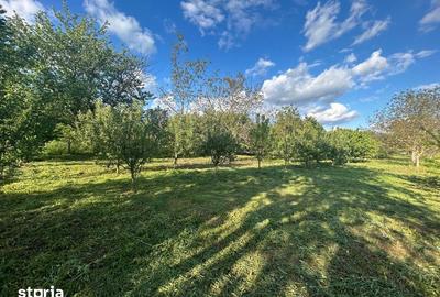 Teren de 1350 mp, în Bercu Roșu - 6