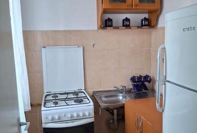 Apartament cu 2 camere nedecomandat, mobilat în Tătărași - 5