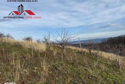Teren de 8010 mp, în Vințu de Jos