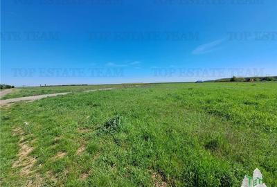 Teren Construcții intravilan de 470 mp, în Brănești - 3