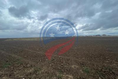 Teren Construcții intravilan de 5000 mp, în Aeroport - 3