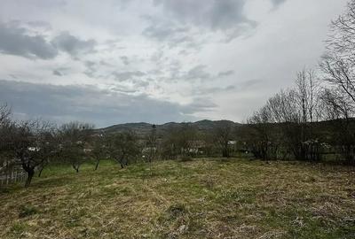 Casă cu 2 camere cu Teren 2700 Mp în Mica - 3