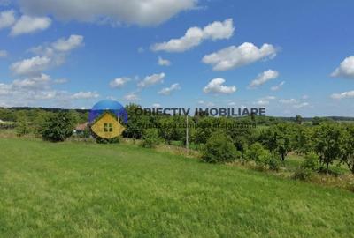 Teren Construcții intravilan de 5654 mp, în Dragomirești - 8