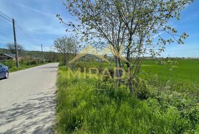 Teren de 7500 mp, în Boldești - 5