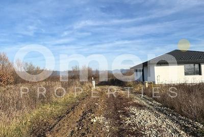 Teren Construcții intravilan de 860 mp, în Lăpușel - 2