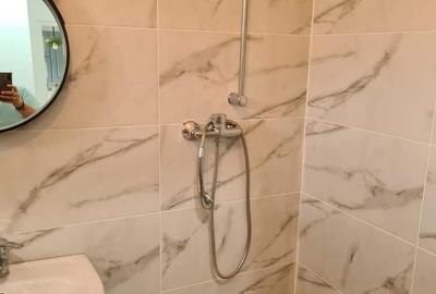 Apartament cu 2 camere nedecomandat în Elisabetin - 2