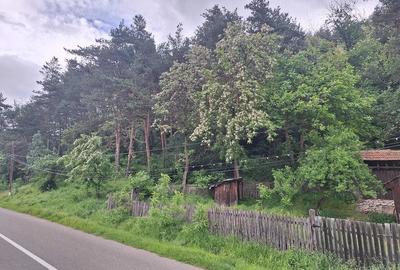 Casă cu 2 camere cu Teren 350 Mp în Cătina - 1