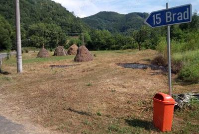 Casă cu 3 camere decomandat în Plai - 5