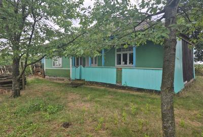 Casă cu 2 camere în Durnești