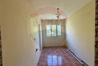 Apartament cu 3 camere decomandat în Bahne - 5
