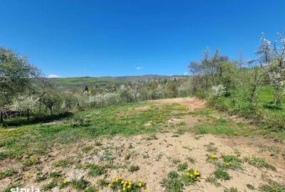Teren de 1600 mp, în Pucheni - 1