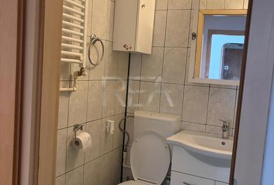 Apartament cu 3 camere semidecomandat, mobilat în Drumul Taberei - 19