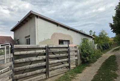Casă cu 3 camere cu Teren 100 Mp în Mogoșești